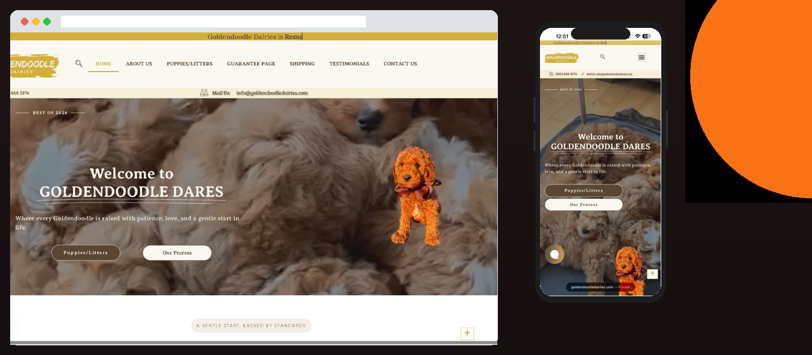 Golden Doodle Dairies – Pet Service Website by Larry Technologies